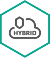 Kaspersky Lab Hybrid Cloud Security 12 maand(en)