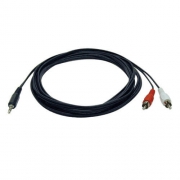 Tripp Lite P314-012 audio kabel 3,66 m 3.5mm 2 x RCA Zwart