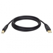Tripp Lite U022-010 USB-kabel 3,05 m USB 2.0 USB A USB B Zwart