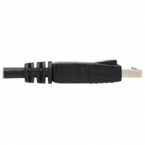 Tripp Lite P580-010 DisplayPort kabel 3,05 m Zwart
