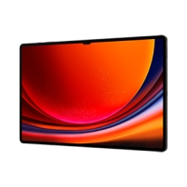 Samsung Galaxy Tab S9 Ultra SM-X910N 256 GB 37,1 cm (14.6\") Qualcomm Snapdragon 12 GB Wi-Fi 6 (802.11ax) Android 13 Grafiet